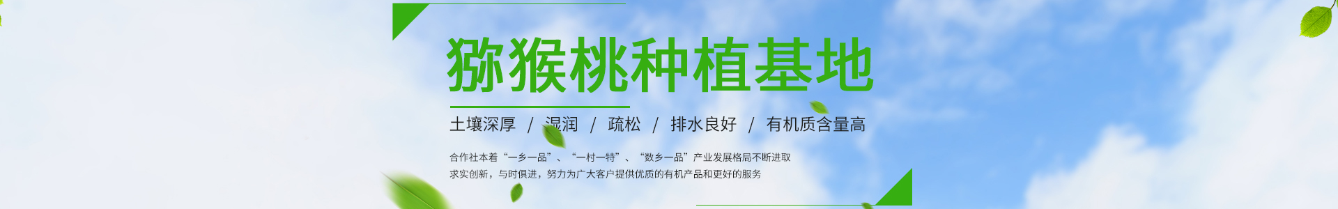betway官网在线登录app网站版下载